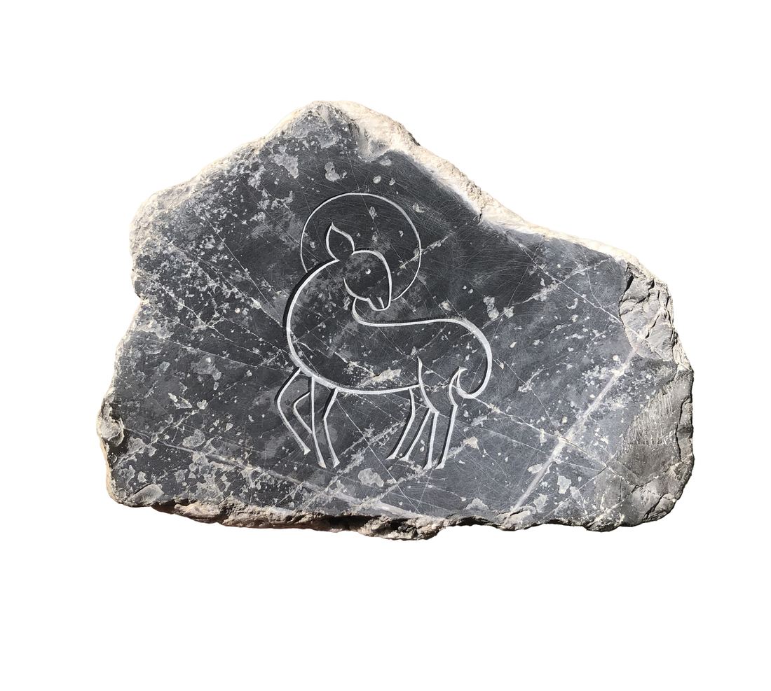 Bélier gravé sur ardoise